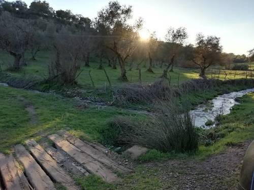 imagen 5 de Venta de preciosa finca en Cumbres Mayores (Huelva)