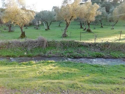 imagen 4 de Venta de preciosa finca en Cumbres Mayores (Huelva)