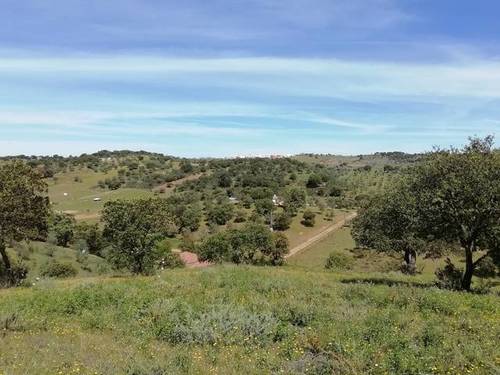 imagen 2 de Venta de terreno con abundante agua en Cumbres Mayores (Huelva)