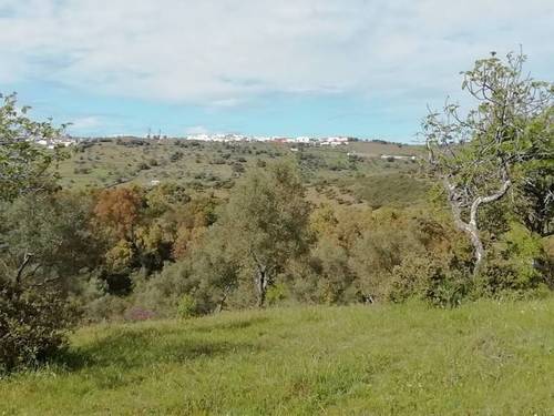 imagen 3 de Venta de preciosa finca en Cumbres Mayores (Huelva)