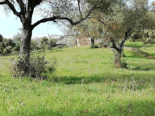 imagen 1 de Venta de preciosa finca en Cumbres Mayores (Huelva)