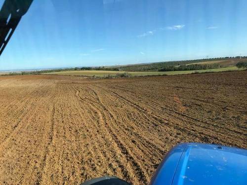 imagen 1 de Venta de finca en Chucena (Huelva)