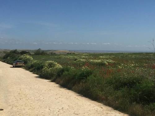 imagen 2 de Venta de finca en Chucena (Huelva)