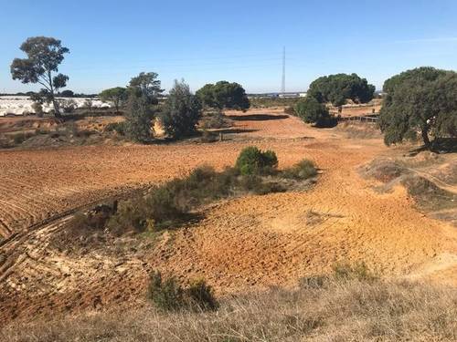imagen 1 de Venta de campo en Lepe (Huelva)