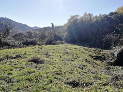 imagen 1 de Venta de finca en Jabugo (Huelva)