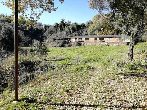 imagen 1 de Venta de finca en Jabugo (Huelva)