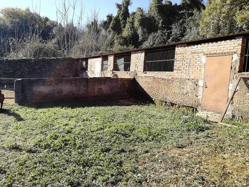 imagen 3 de Venta de finca en Jabugo (Huelva)