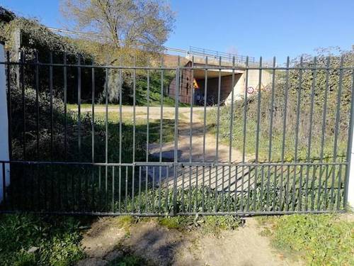 imagen 4 de Venta de finca en Jabugo (Huelva)