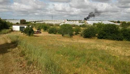 imagen 2 de Venta de terreno en Cartaya (Huelva)