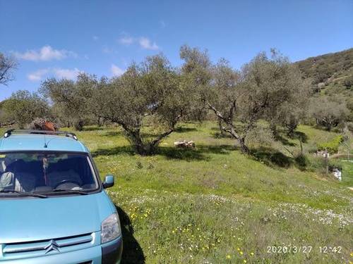 imagen 1 de Venta de estupenda finca en Aracena (Huelva)