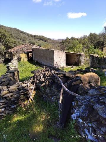 imagen 3 de Venta de estupenda finca en Aracena (Huelva)