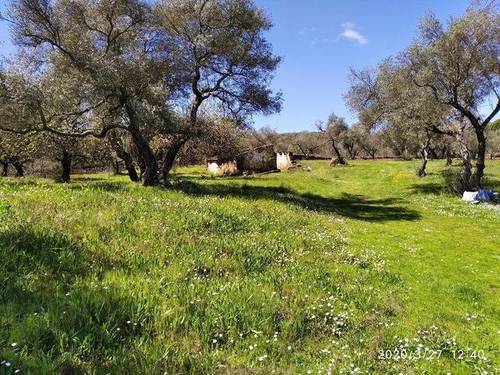 imagen 2 de Venta de estupenda finca en Aracena (Huelva)