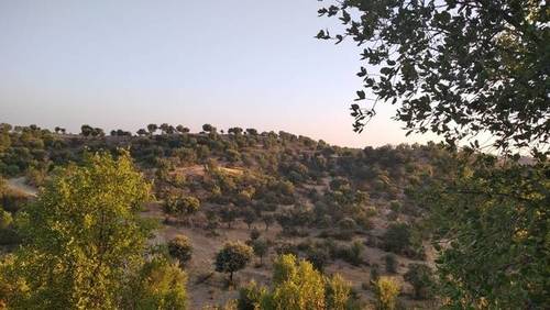 imagen 1 de Venta de gran terreno en Valverde del Camino (Huelva)
