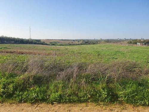 imagen 1 de Venta de finca en Almonte (Huelva)