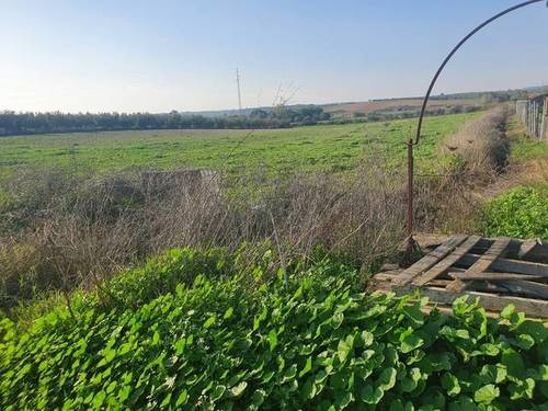 imagen 1 de Venta de finca en Almonte (Huelva)