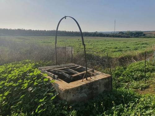 imagen 2 de Venta de finca en Almonte (Huelva)