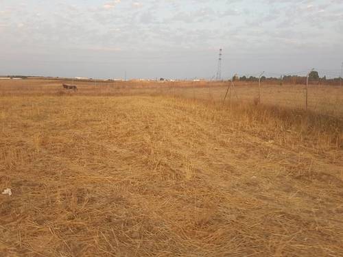 imagen 1 de Venta de terreno en Almonte (Huelva)