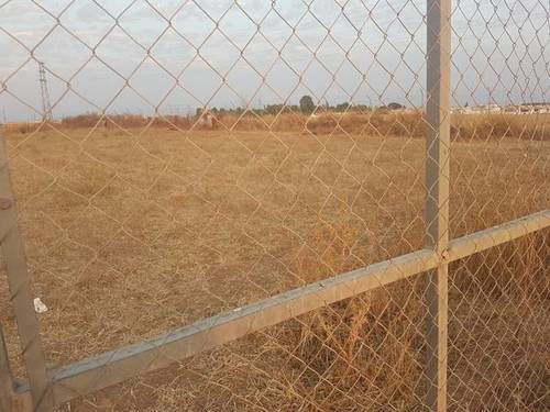 imagen 1 de Venta de terreno en Almonte (Huelva)