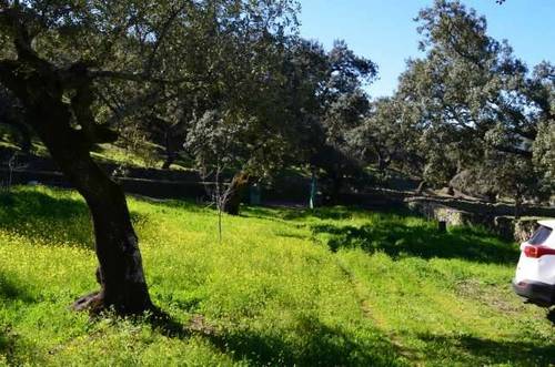 imagen 1 de Venta de preciosa finca en Arroyomolinos de León (Huelva)