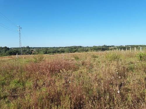 imagen 1 de Venta de finca en Almonte (Huelva)