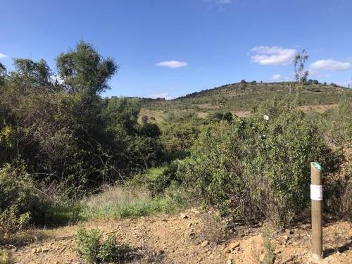 imagen 3 de Venta de finca con excelentes vistas en El Granado (Huelva)