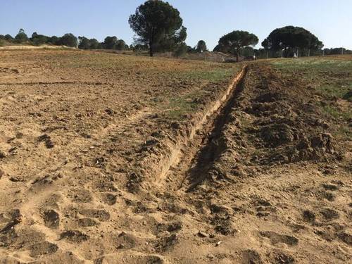 imagen 1 de Venta de fincas en Beas (Huelva)
