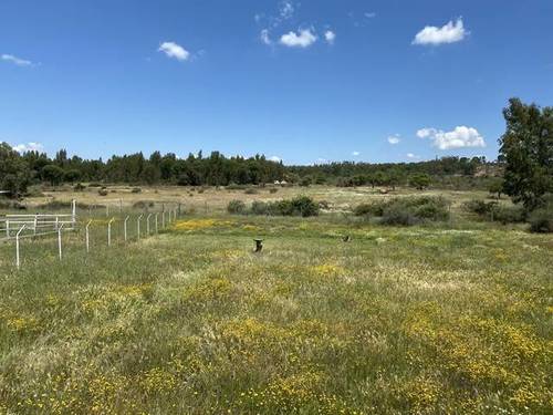 imagen 2 de Venta de fincas en Beas (Huelva)