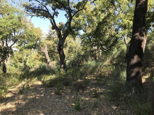 imagen 1 de Venta de preciosa finca en Aracena (Huelva)