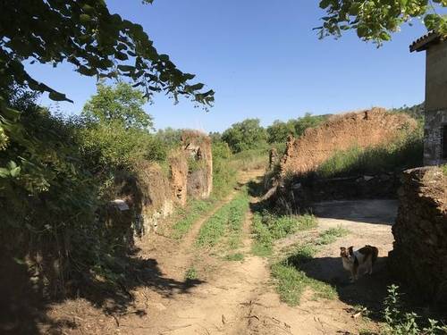 imagen 2 de Venta de preciosa finca en Aracena (Huelva)