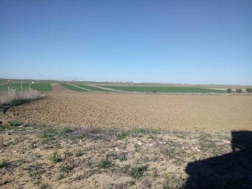 imagen 1 de Venta de terreno en Trigueros (Huelva)