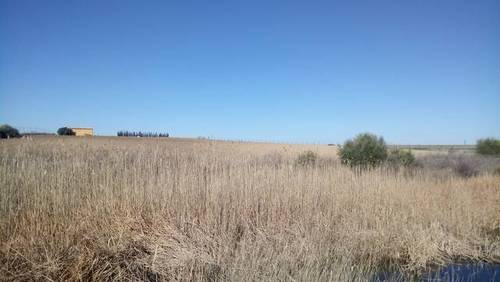 imagen 2 de Venta de terreno en Trigueros (Huelva)
