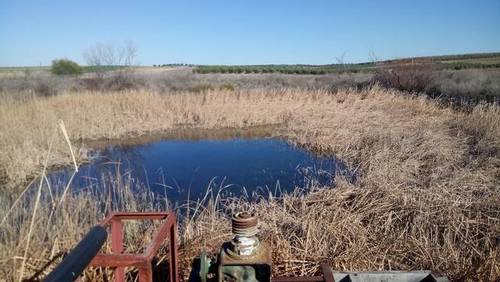 imagen 3 de Venta de terreno en Trigueros (Huelva)