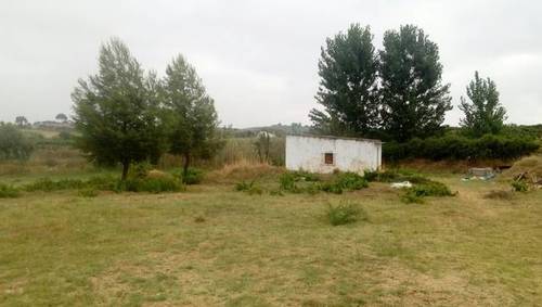 imagen 1 de Venta de finca en Bollullos Par del Condado (Huelva)