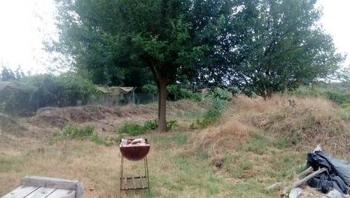 imagen 3 de Venta de finca en Bollullos Par del Condado (Huelva)