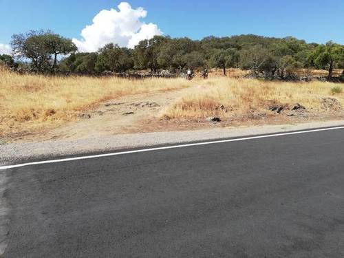 imagen 2 de Venta de finca olivar Cumbres de San Bartolomé (Huelva)