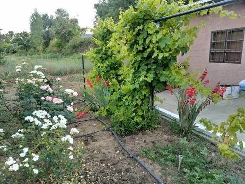 imagen 1 de Venta de Huerto en Arén (Huesca)