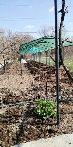 imagen 3 de Venta de Huerto en Arén (Huesca)