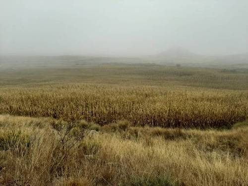 imagen 1 de Venta de finca de regadío en Ontiñena (Huesca)