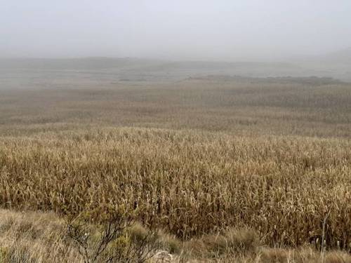 imagen 1 de Venta de finca de regadío en Ontiñena (Huesca)