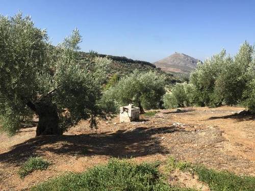 imagen 1 de Venta de finca olivar y cortijo en Jamilena (Jaén)