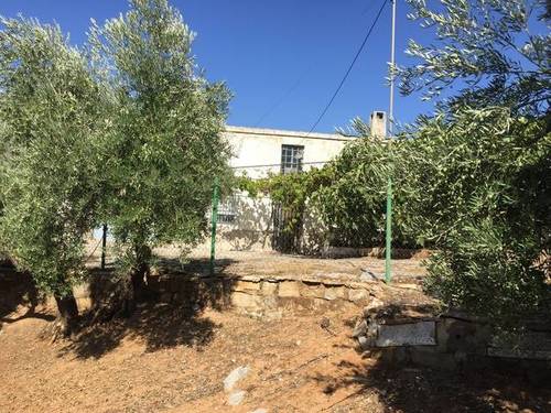 imagen 3 de Venta de finca olivar y cortijo en Jamilena (Jaén)