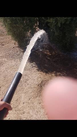 imagen 4 de Venta de finca en Castillo de Locubín (Jaén)