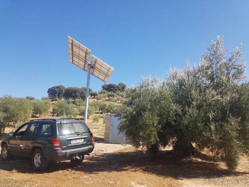 imagen 3 de Venta de finca en Castillo de Locubín (Jaén)