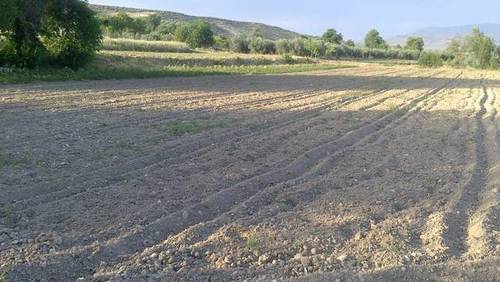 imagen 2 de Venta de terreno en Agrupación de Mogón (Jaén)