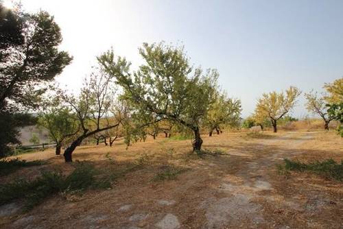 imagen 1 de Venta de magnífico viñedo en Torre del Campo (Jaén)