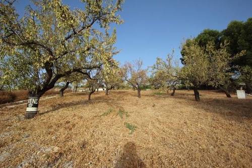 imagen 1 de Venta de magnífico viñedo en Torre del Campo (Jaén)