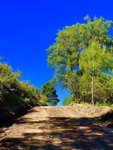 imagen 3 de Venta de preciosa finca en Arroyo Frio, Sierra Cazorla. (Jaén)