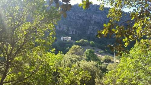 imagen 1 de Venta de preciosa finca en Arroyo Frio, Sierra Cazorla. (Jaén)