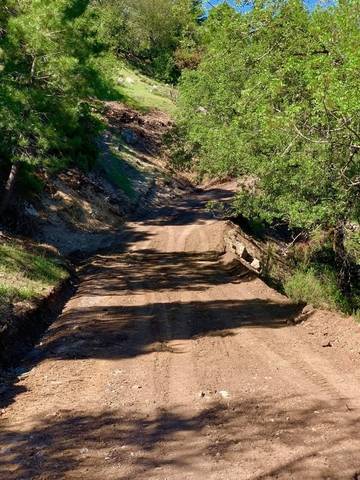 imagen 4 de Venta de preciosa finca en Arroyo Frio, Sierra Cazorla. (Jaén)