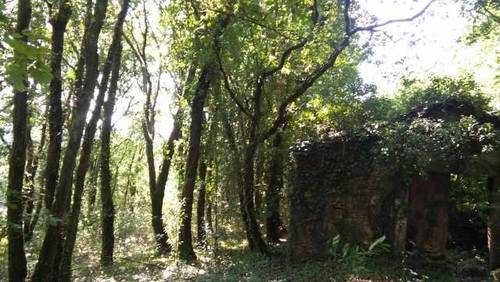 imagen 1 de Venta de preciosa finca en Vedra (La Coruña)